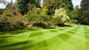 Lawn Installation Services Canberra